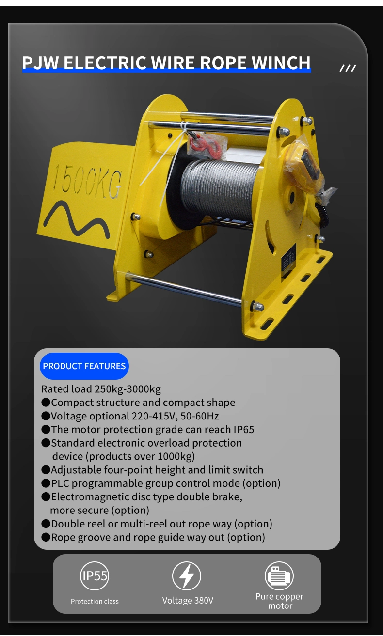 Double Brake Electric Winch 500kg